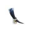 natural horn shofar